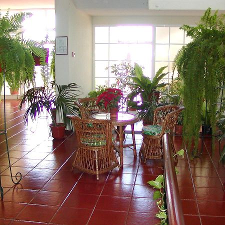 Vila Marta Funchal  Exterior foto