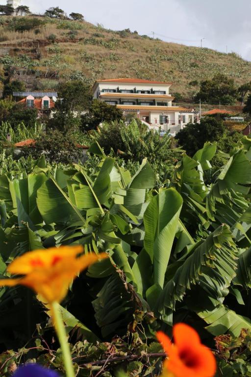Vila Marta Funchal  Exterior foto